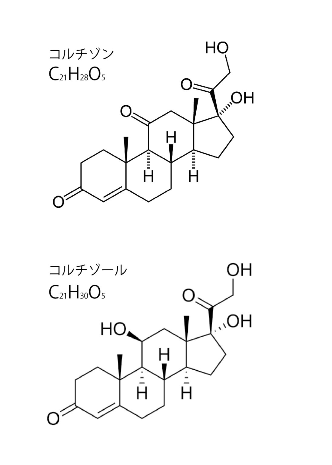 精神的ストレスが「老化」を招く – NMN研究の株式会社東京薬学研究所
